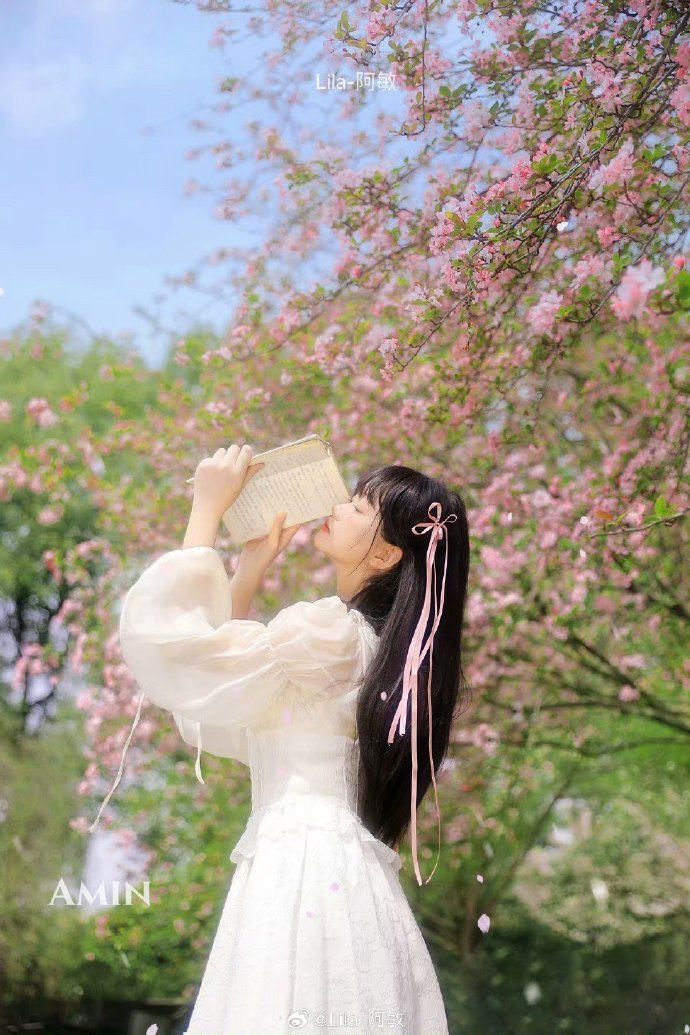 红高粱 封面