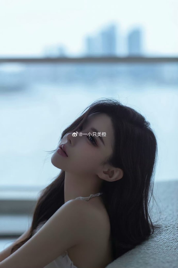 潜水钟与蝴蝶 封面
