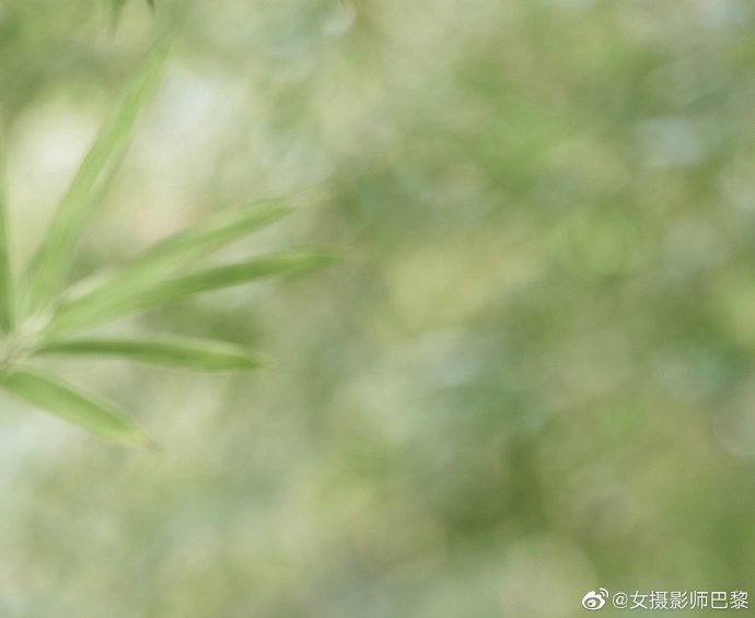 模范出租车 封面